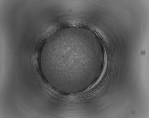 X0000095550217200712141602