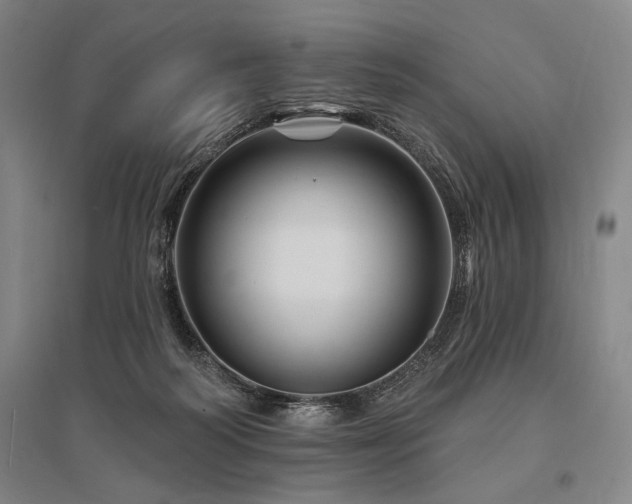 X0000095550218200712141602