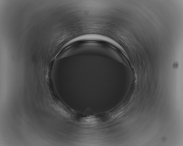 X0000095550219200712141602