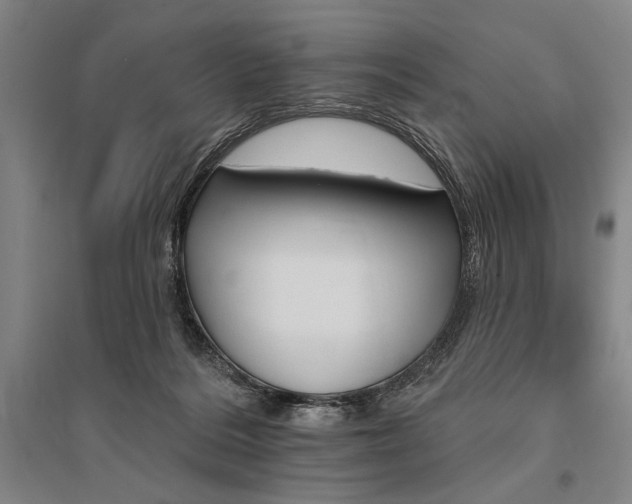 X0000095550220200712141602