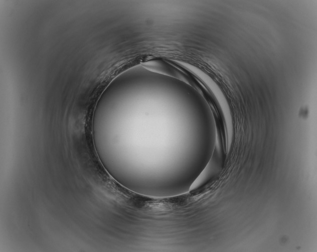 X0000095550221200712141602