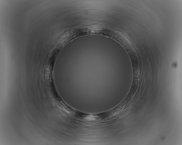 X0000095550222200712141602