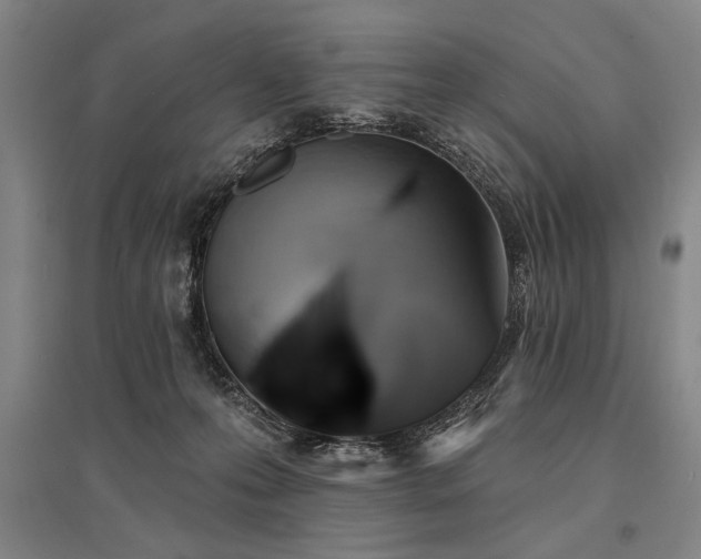 X0000095550223200712141602