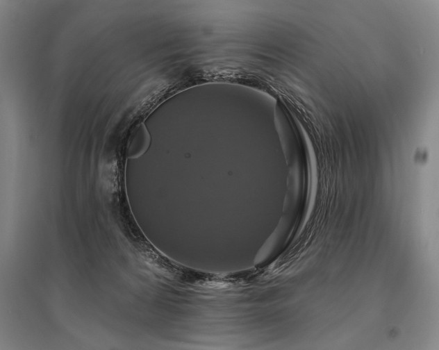 X0000095550224200712141602