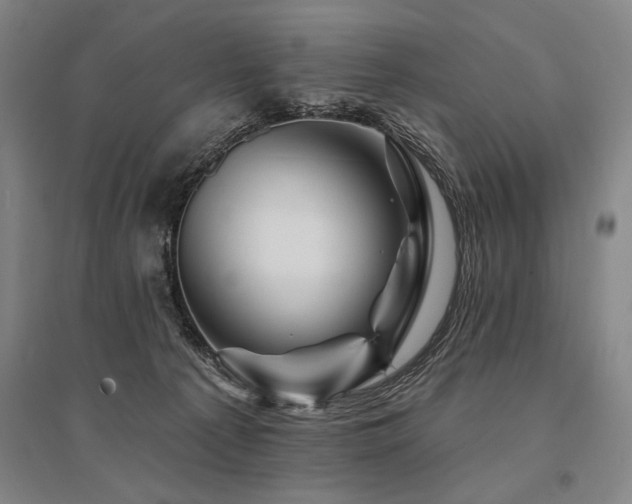 X0000095550225200712141602