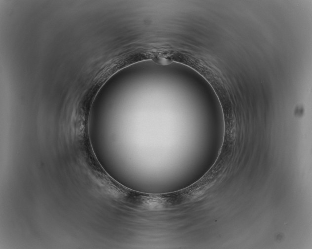 X0000095550226200712141602