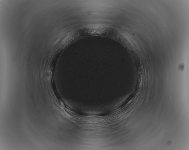 X0000095550227200712141602