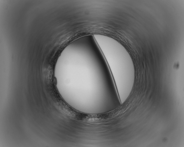 X0000095550228200712141602