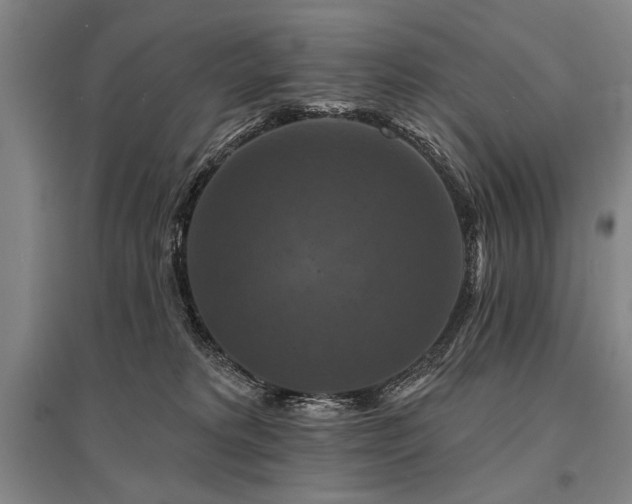 X0000095550229200712141602