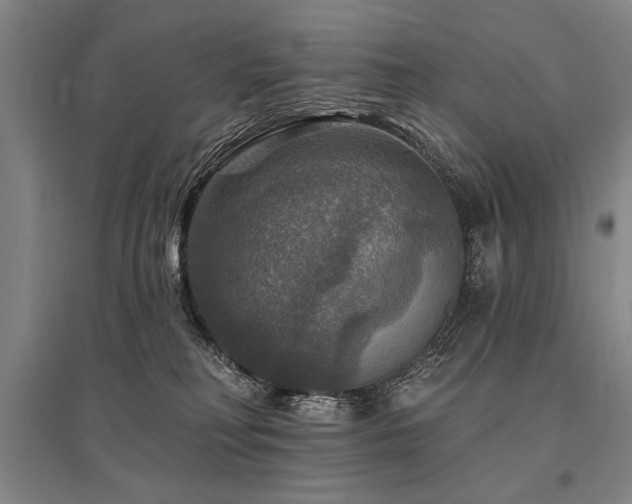 X0000095550230200712141602