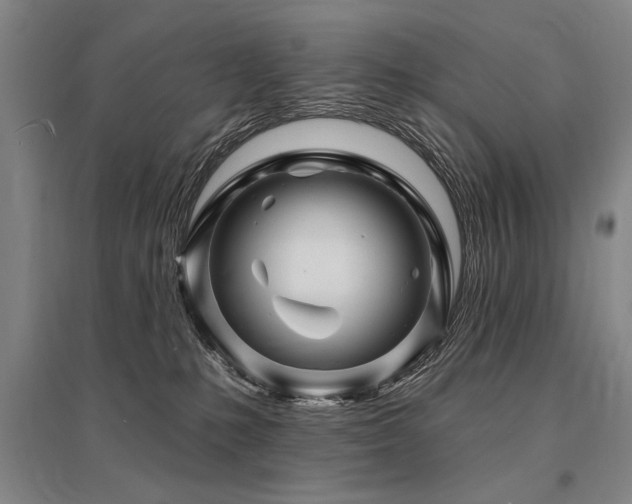 X0000095550231200712141602