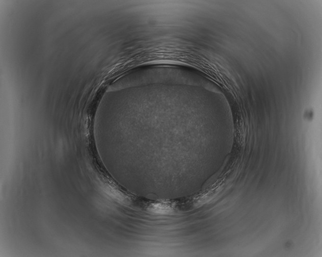 X0000095550232200712141602