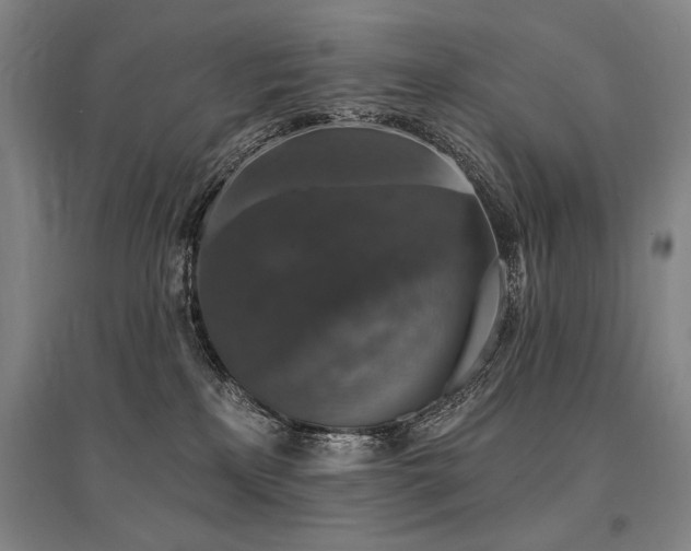 X0000095550233200712141602