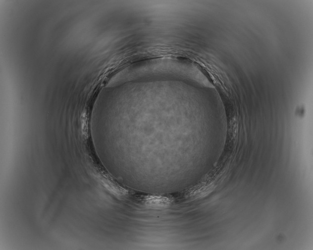 X0000095550234200712141602