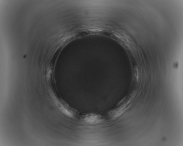 X0000095550235200712141602