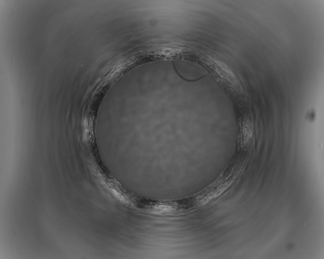 X0000095550236200712141602