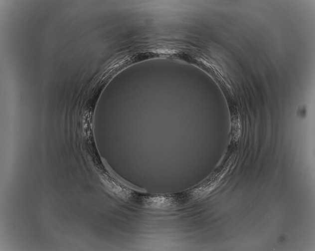 X0000095550237200712141602