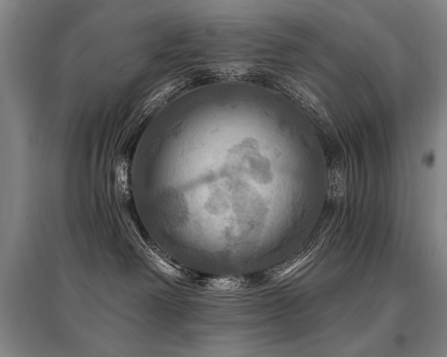 X0000095550238200712141602