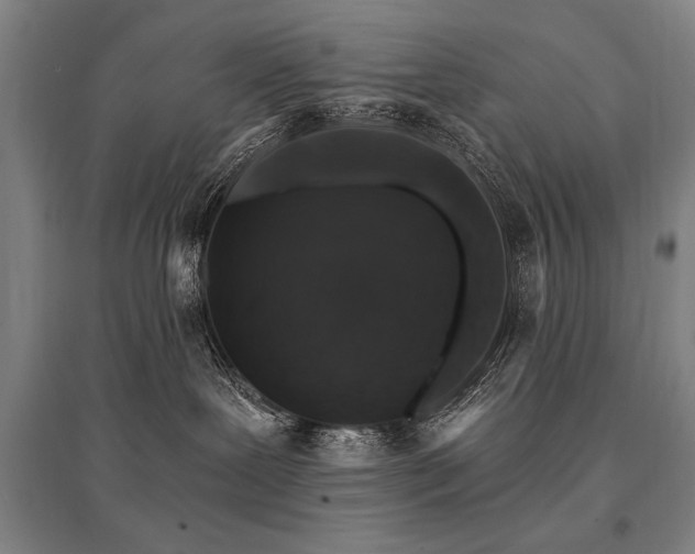 X0000095550239200712141602