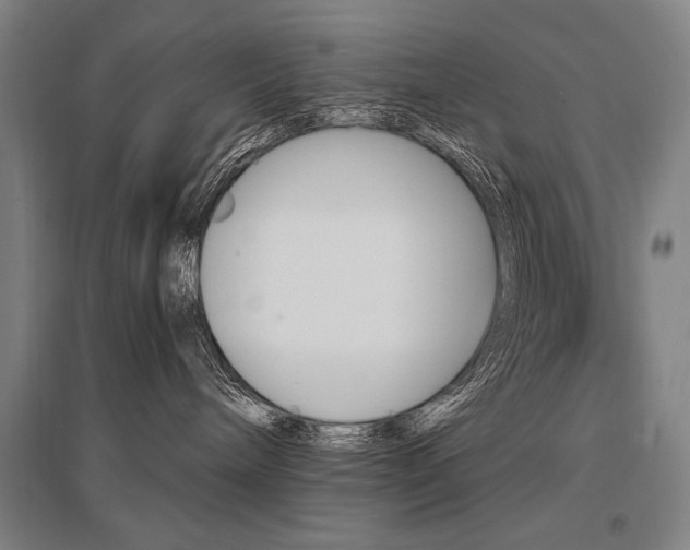 X0000095550240200712141602