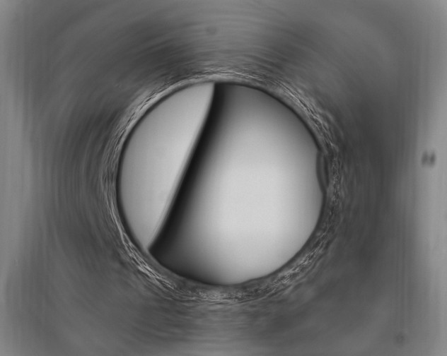 X0000095550241200712141601