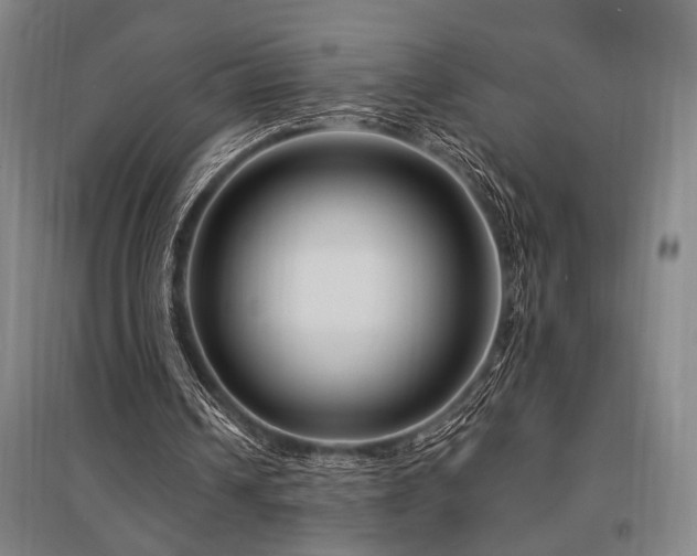 X0000095550242200712141601