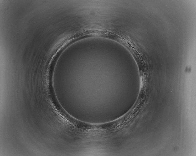 X0000095550243200712141601