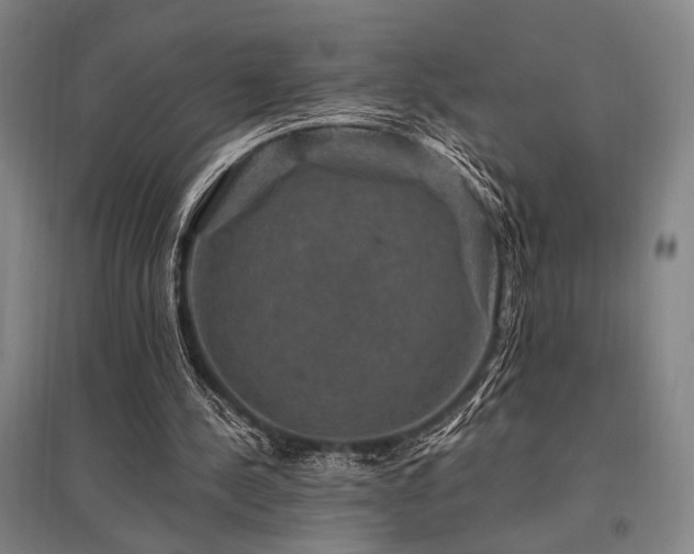 X0000095550244200712141601