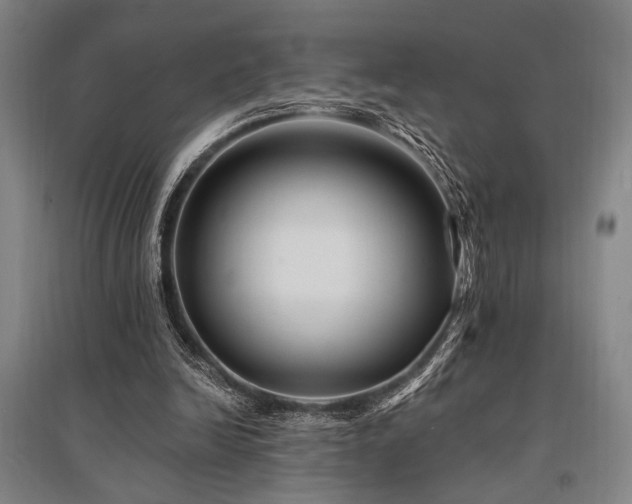 X0000095550246200712141601