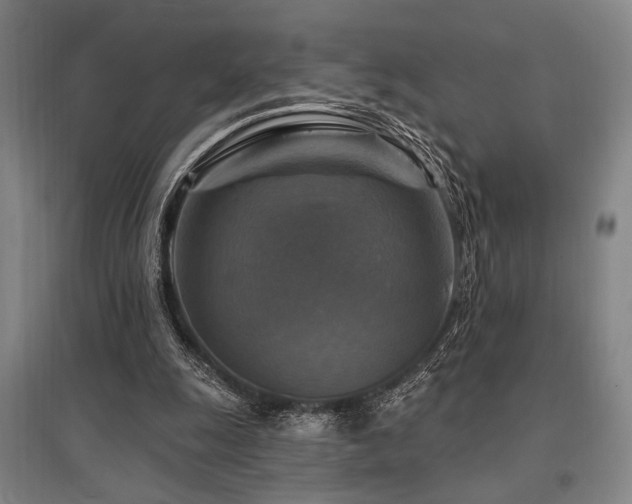 X0000095550247200712141601