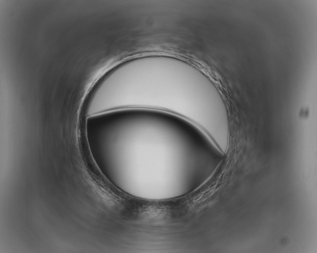 X0000095550248200712141601