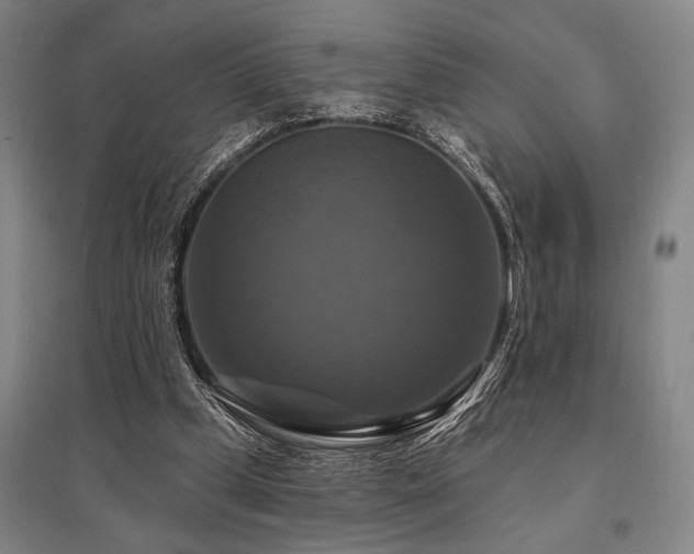 X0000095550249200712141601