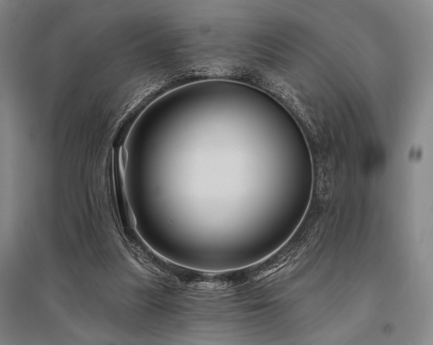 X0000095550251200712141601