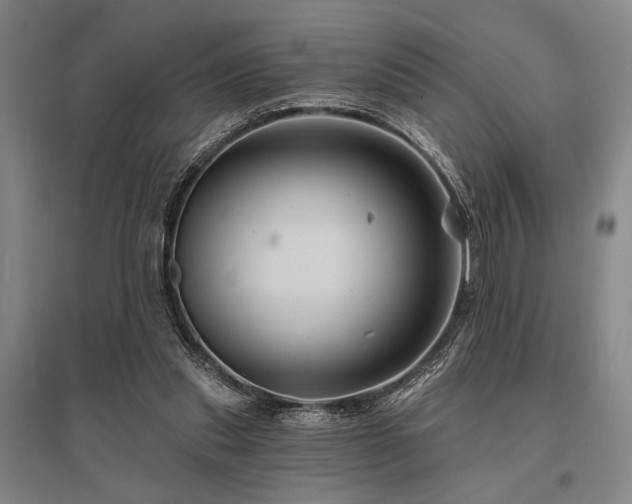 X0000095550253200712141601