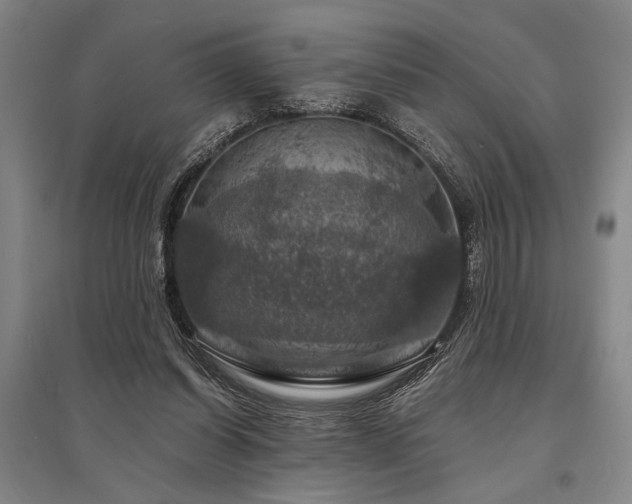 X0000095550254200712141601