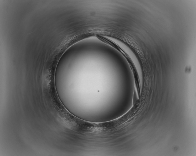 X0000095550255200712141601