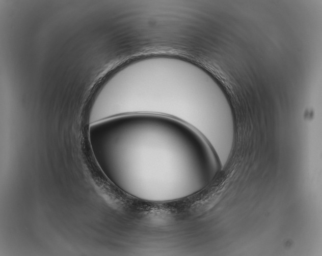 X0000095550256200712141601