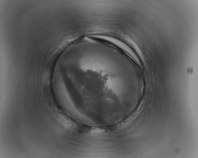 X0000095550257200712141601