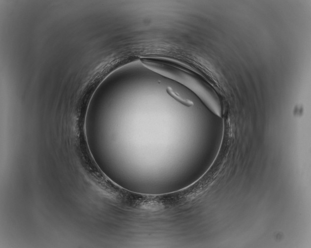 X0000095550258200712141601