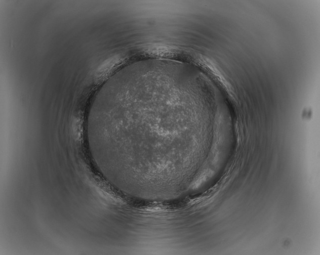 X0000095550259200712141601