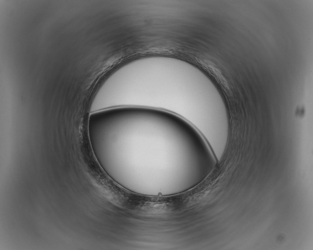 X0000095550260200712141601