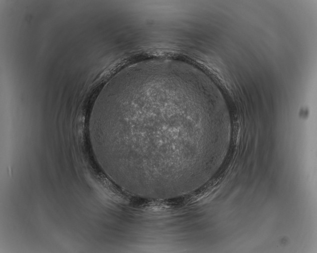 X0000095550263200712141601