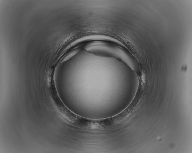 X0000095550264200712141601