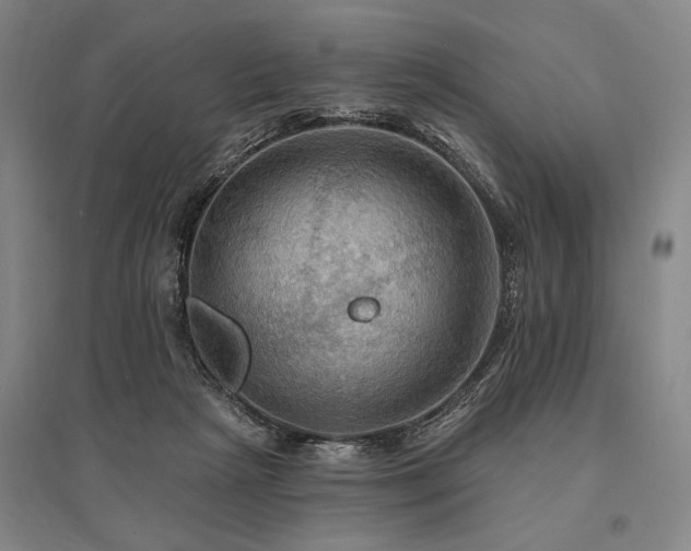 X0000095550265200712141601