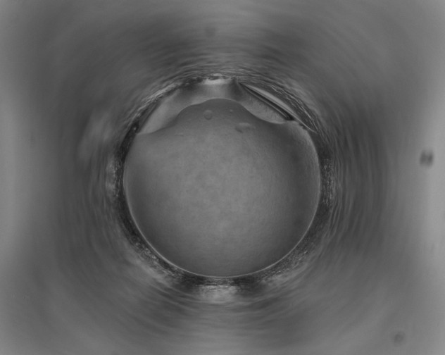 X0000095550266200712141601