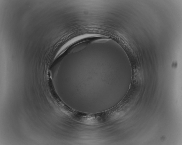 X0000095550267200712141602