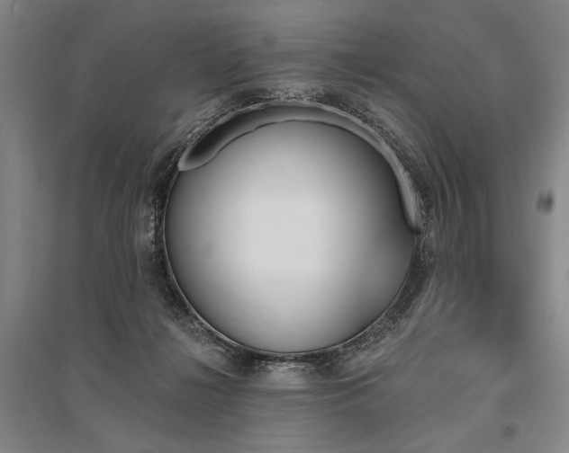 X0000095550268200712141602