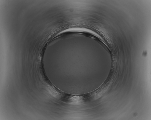 X0000095550269200712141602