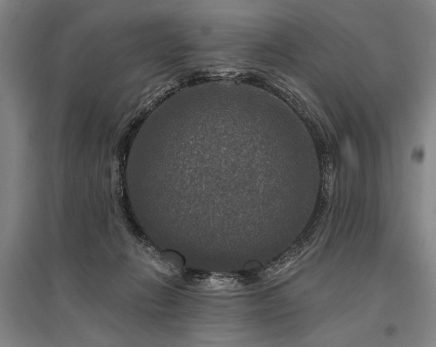 X0000095550270200712141602