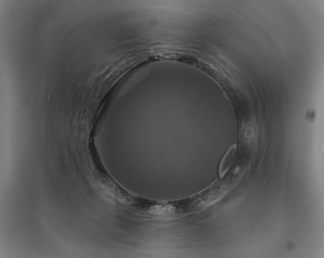 X0000095550271200712141602